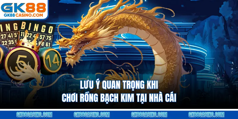 Lưu ý quan trọng khi chơi Rồng bạch kim tại nhà cái
